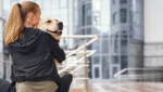 Cachorro abraçado a tutora