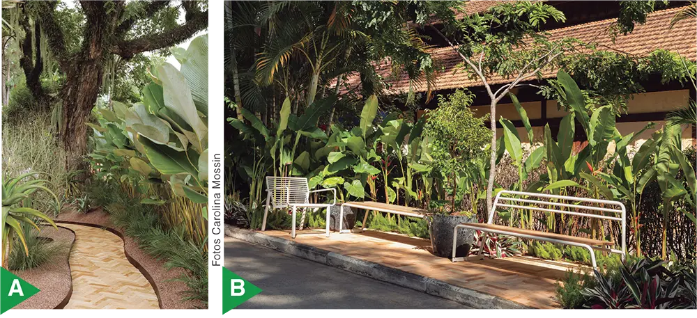 Jardim projetado pela paisagista Simone Campos na CASACOR São Paulo 2025.